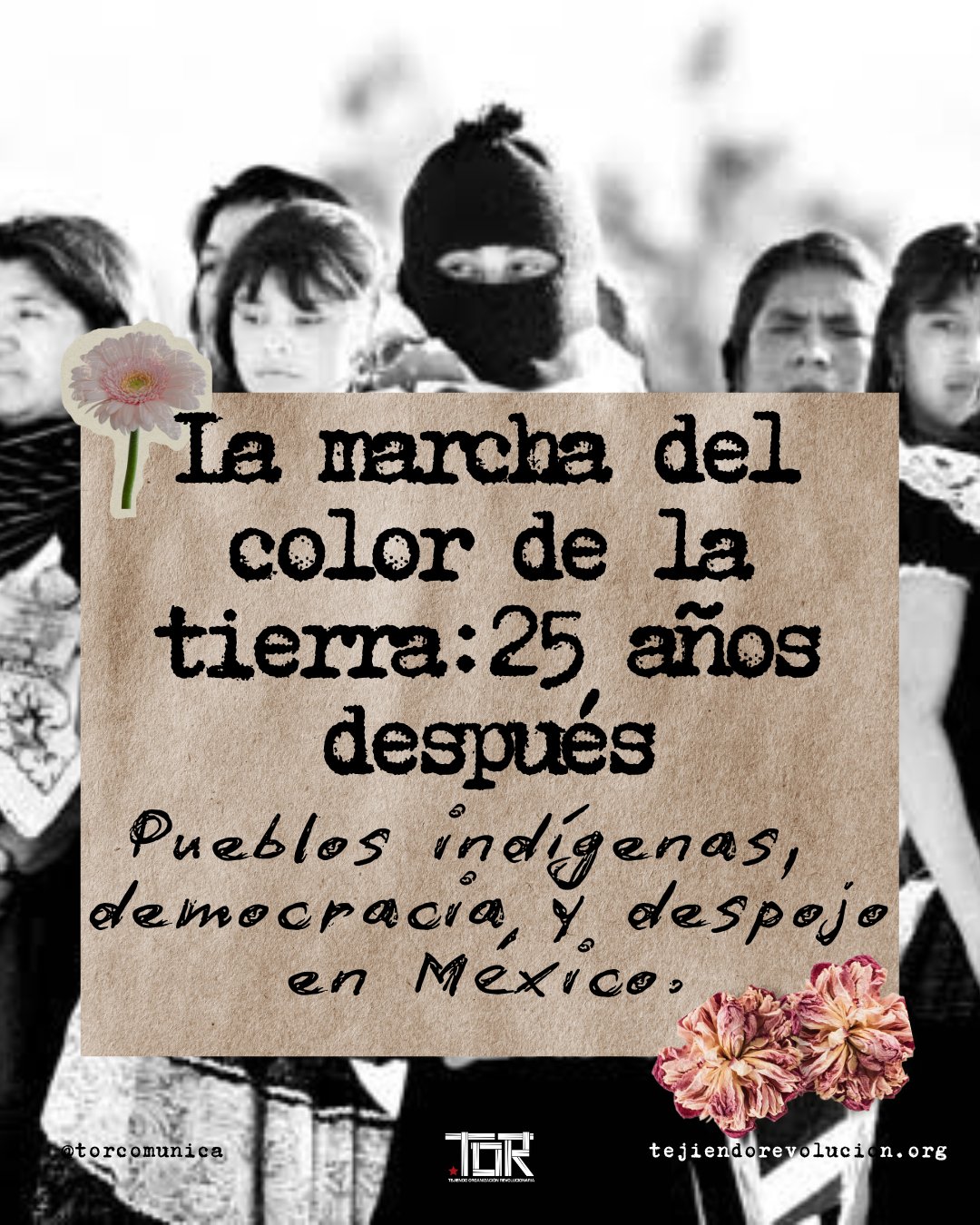 Tweet image