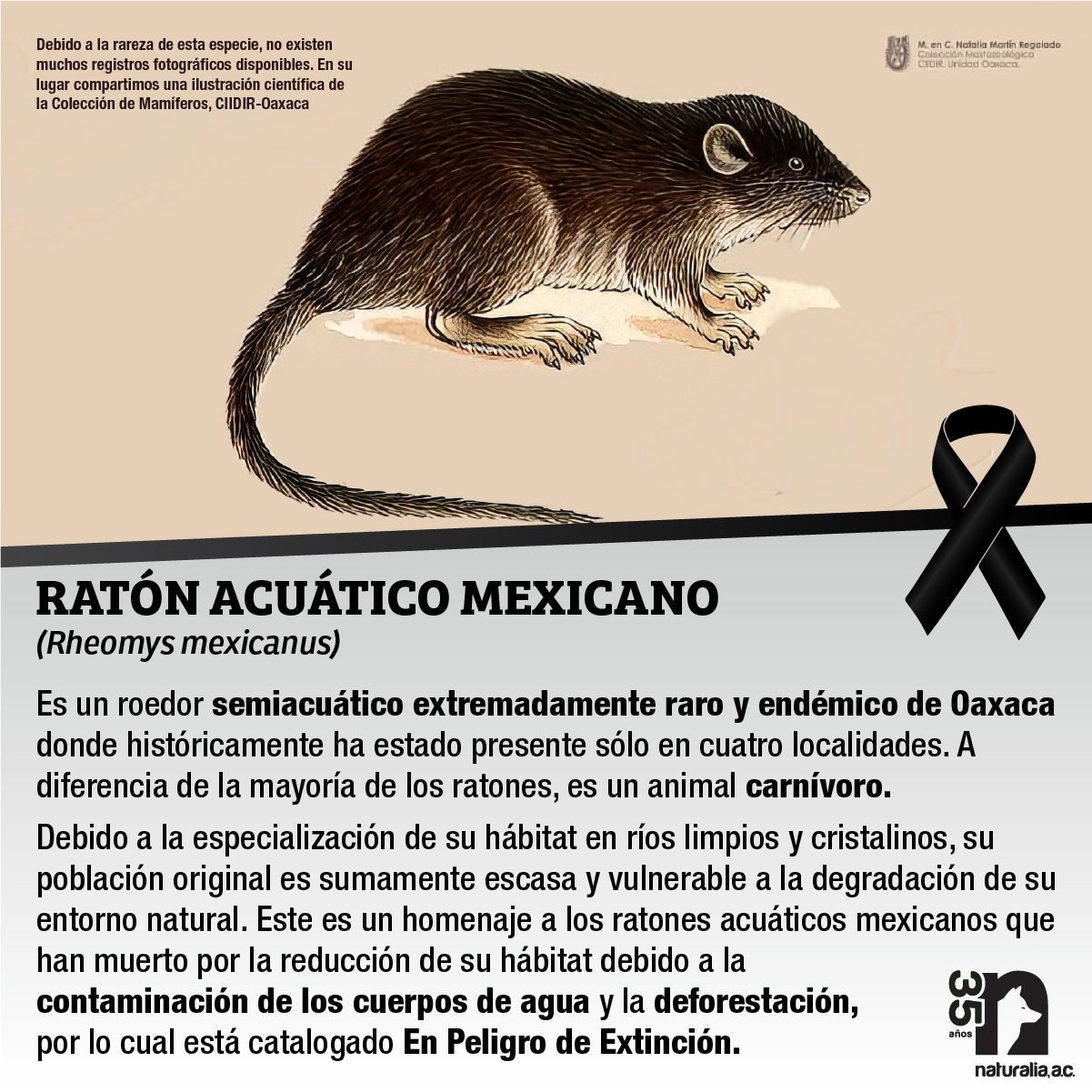 Tweet image