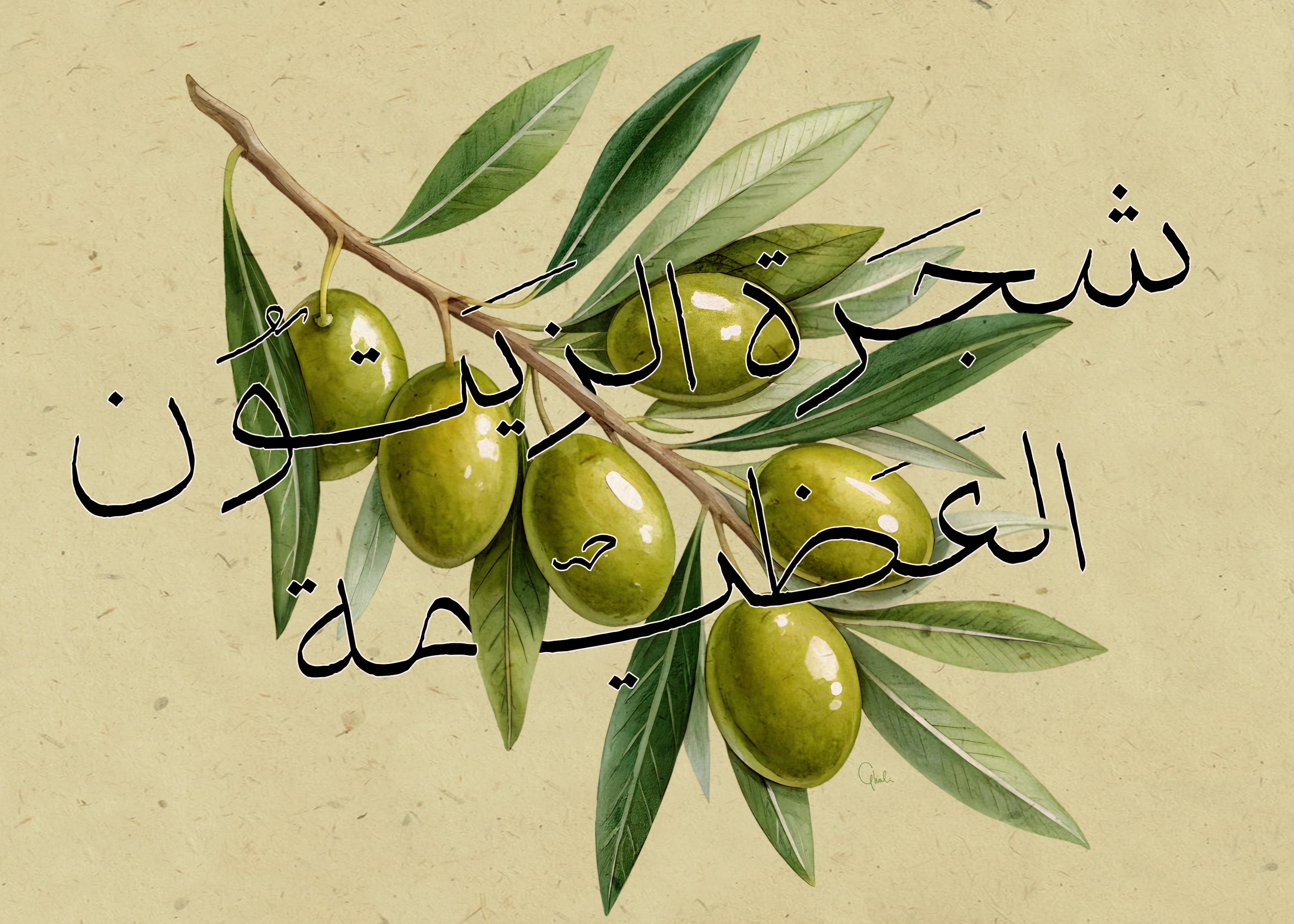 Tweet image