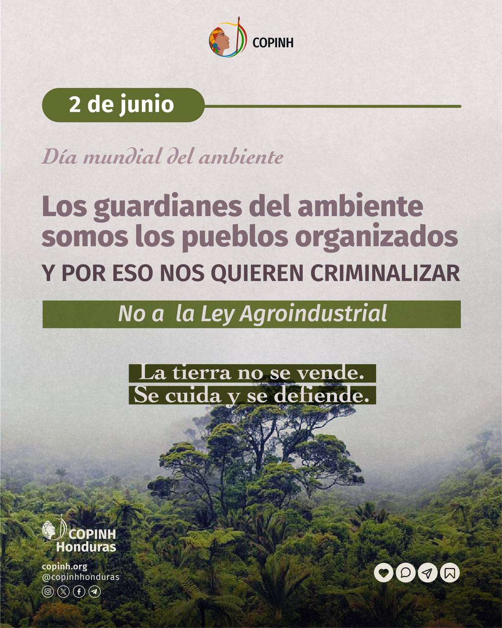 Tweet image