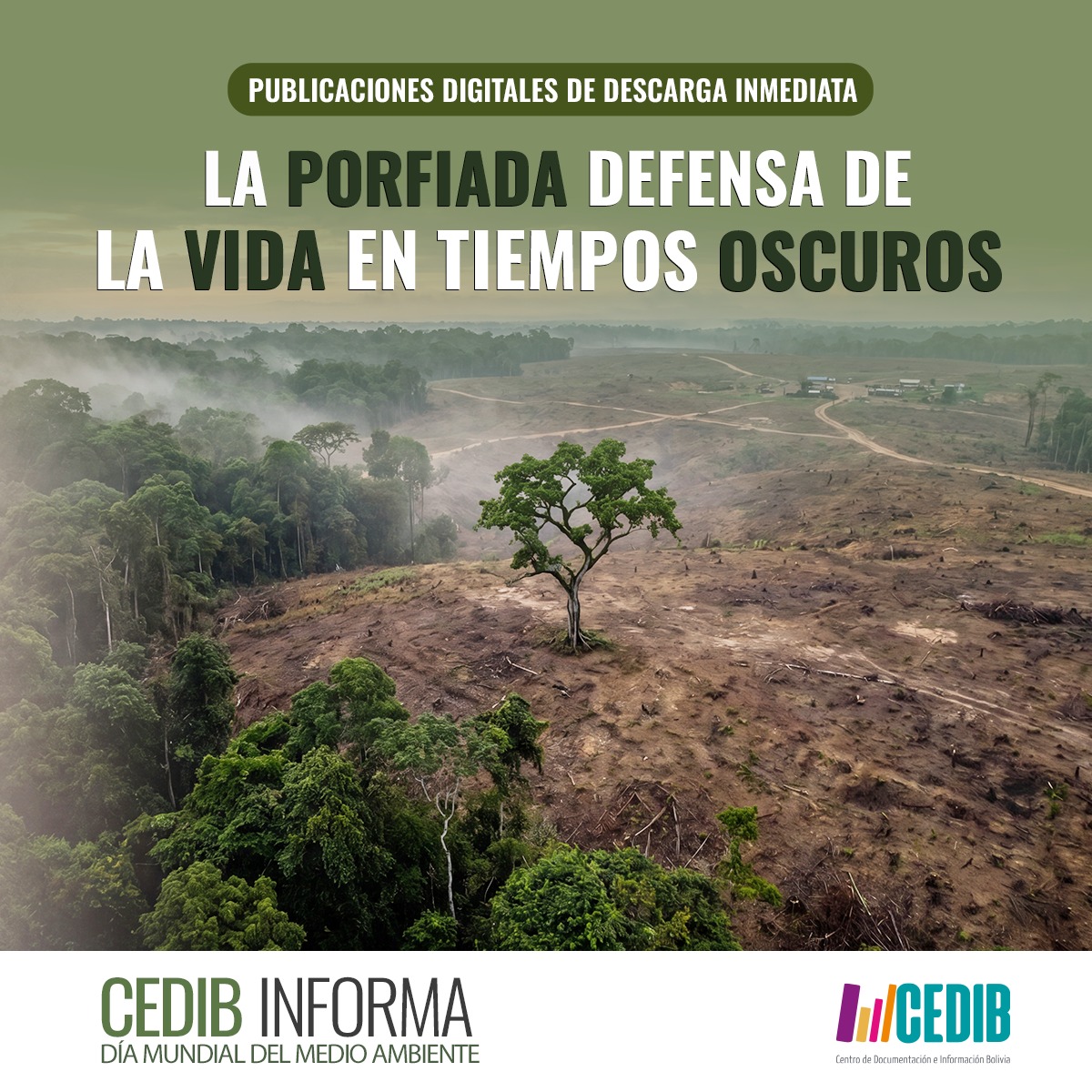 Tweet image