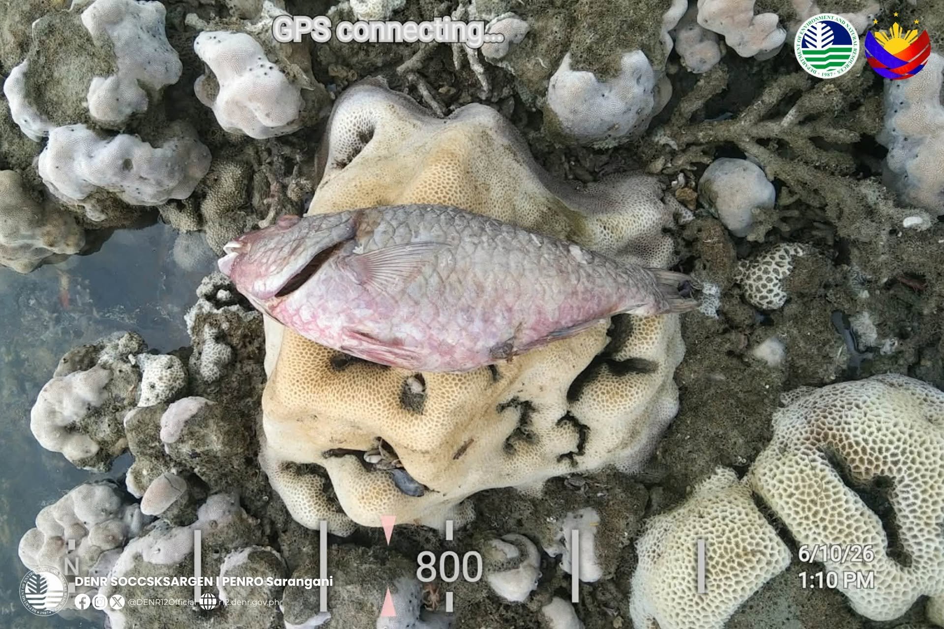 Tweet image