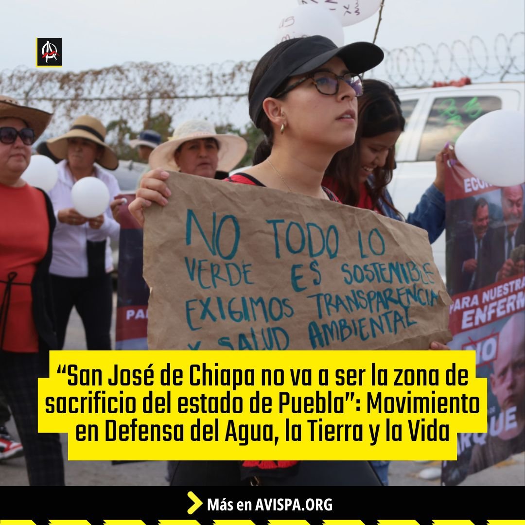 Tweet image