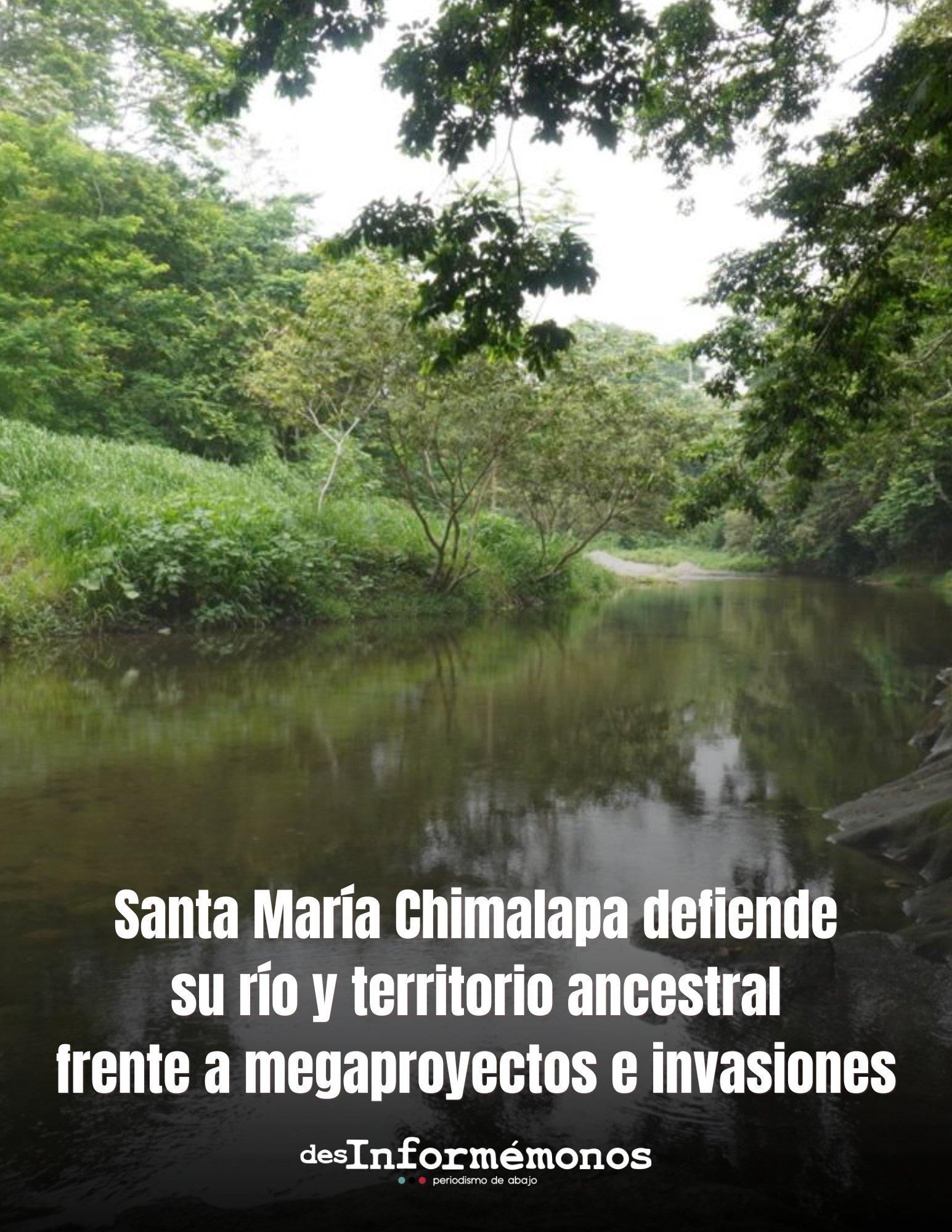 Tweet image