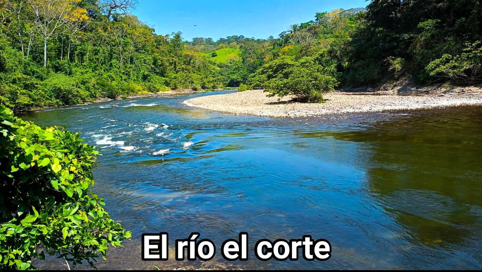 Tweet image