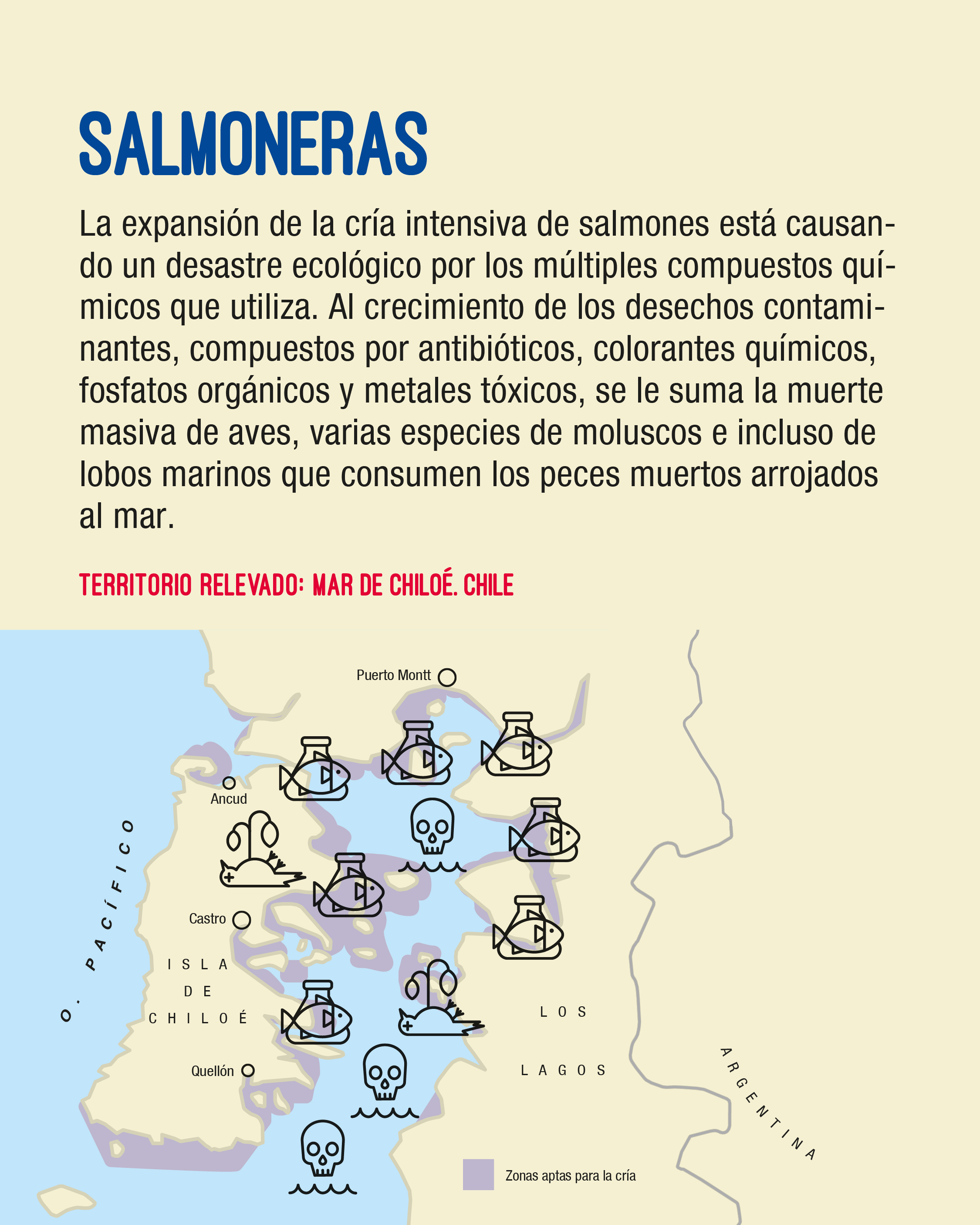Tweet image