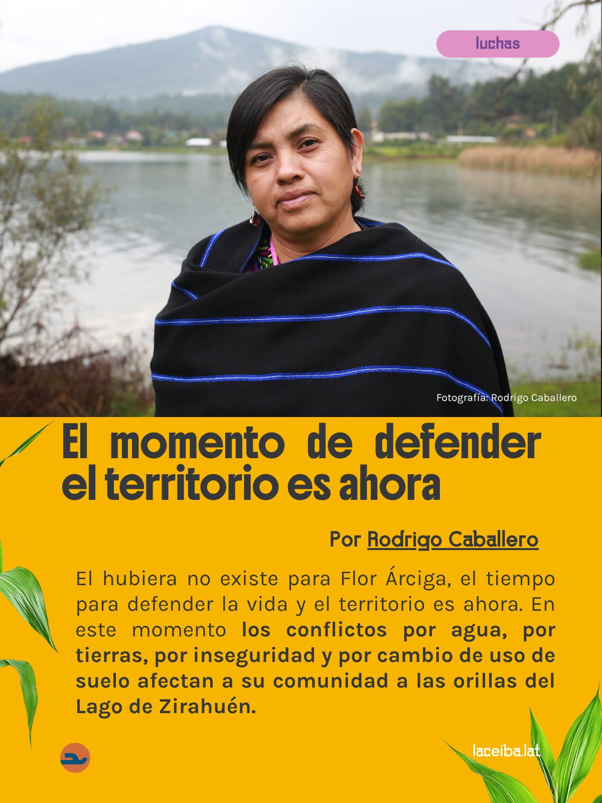 Tweet image
