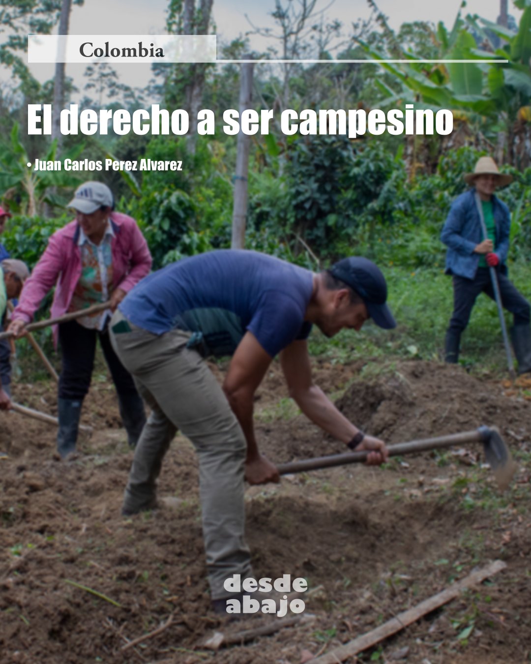 Tweet image