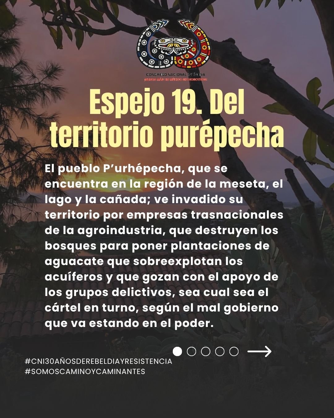 Tweet image