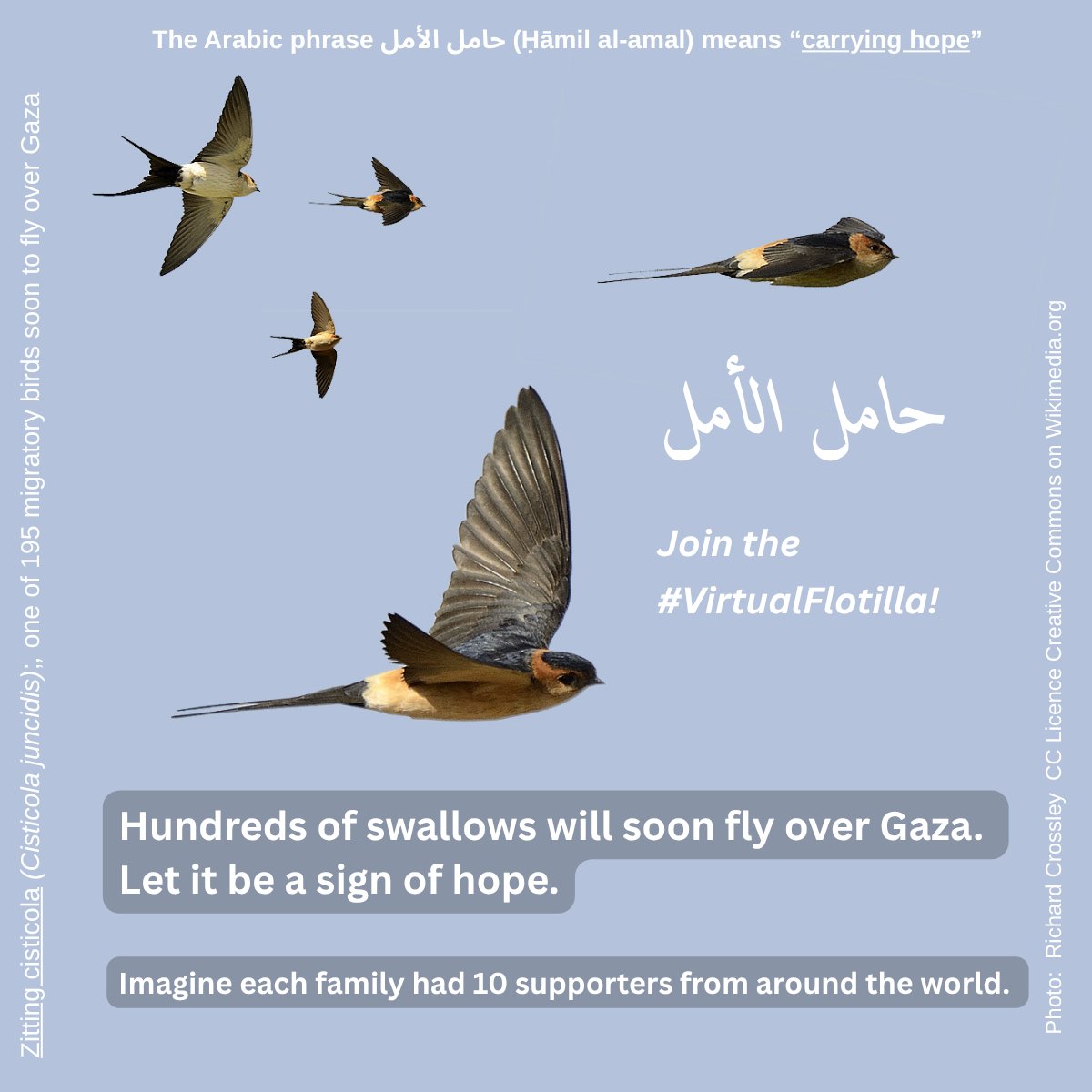Tweet image